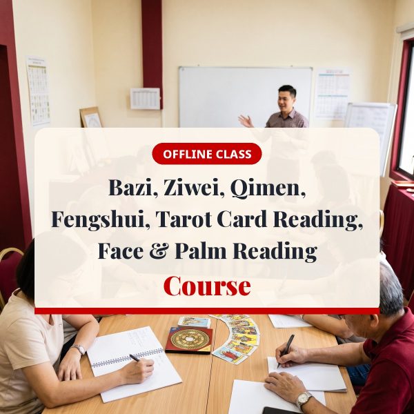 Destinilogy offline class